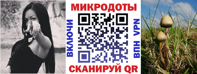 Псилоцибиновые грибы прущие грибы  Урень 